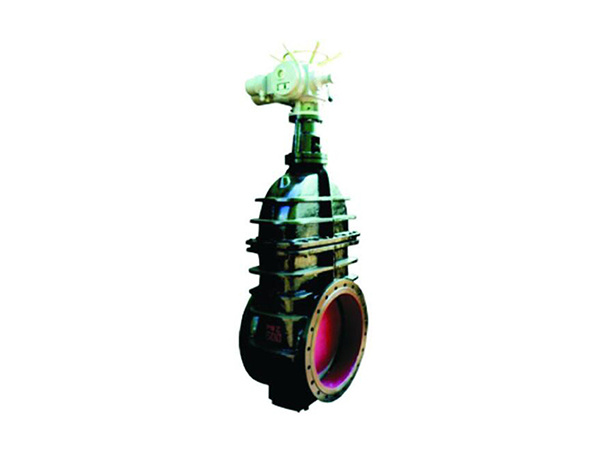 Iron flange gate valve