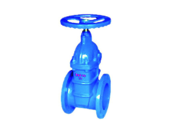 Soft seal gate valve