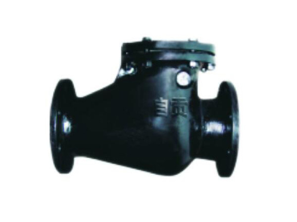 Flanged connection swing check valve