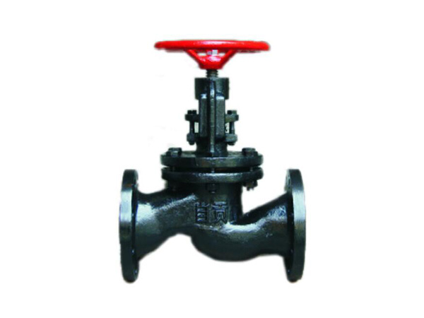 Iron flanged globe valve