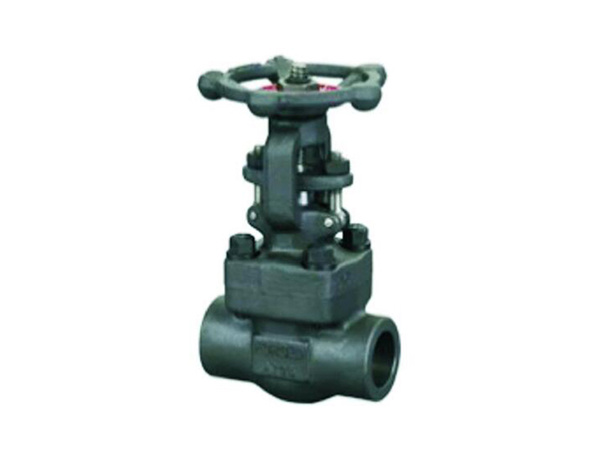 Forged steel internal thread gate valve