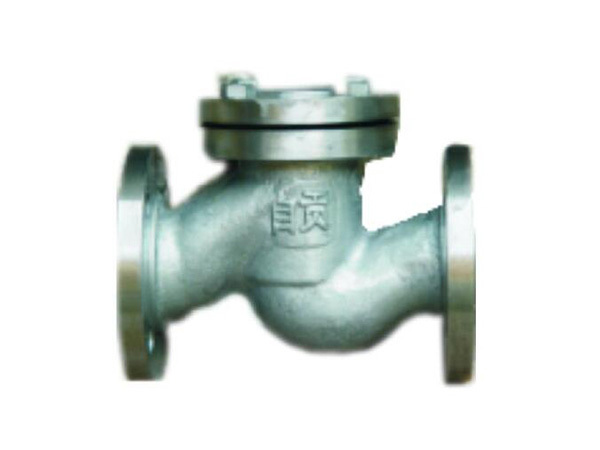 The flange is connected to the lifting check valve