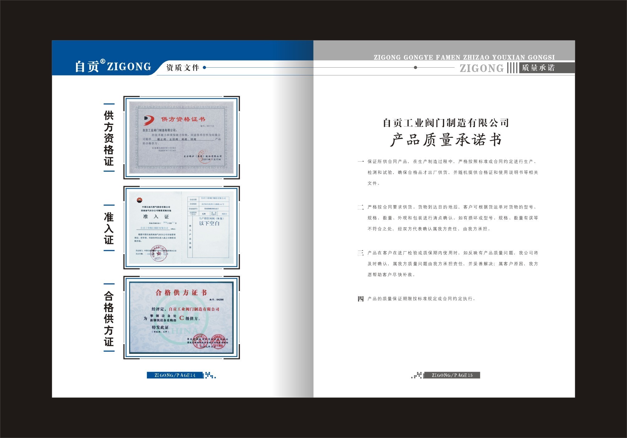 Dongguo, PetroChina, Panzhihua Iron and Steel Co., Ltd. Access Certificate