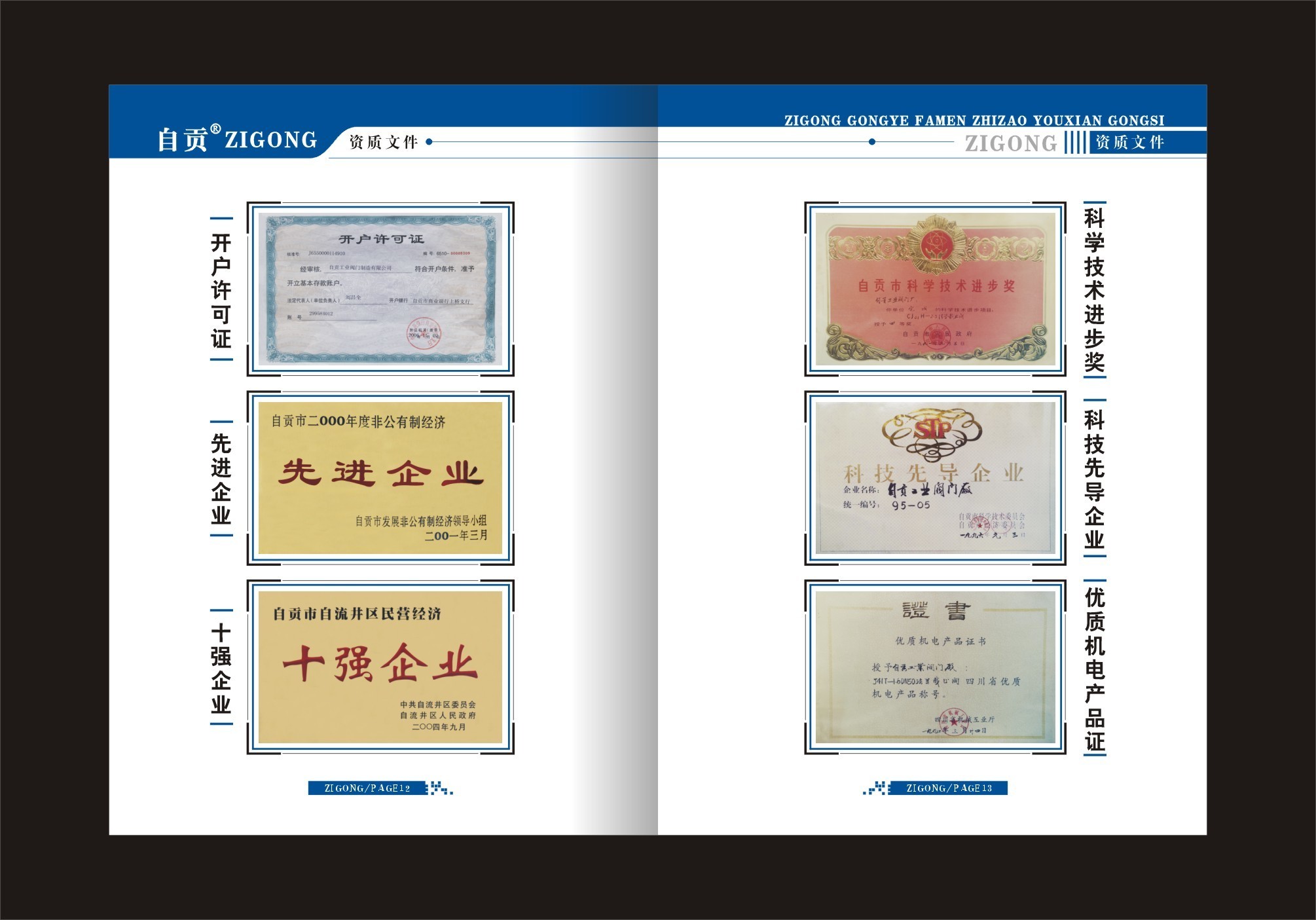Advanced Enterprise Certificate
