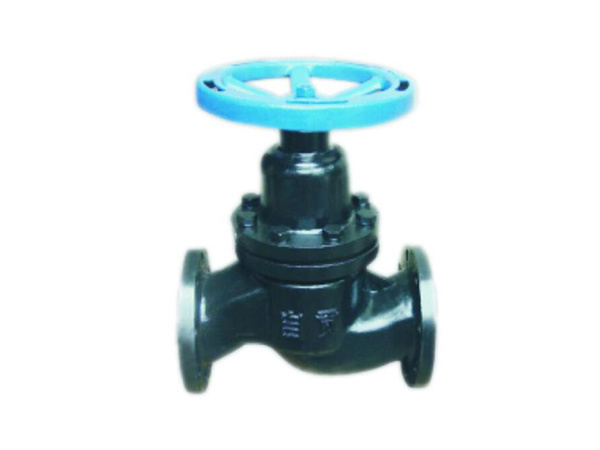 Plunger valve, plunger globe valve